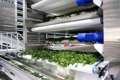 其出产的尺度化茶原料已进入多家头部奶茶品牌